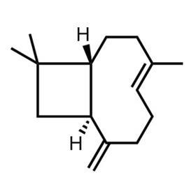 0216CW_Feature_VOCs_Stuctures_Caryophyllene_300m