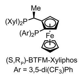 An image of the structure of the catalyst