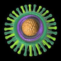 FEATURE-Glycans-200