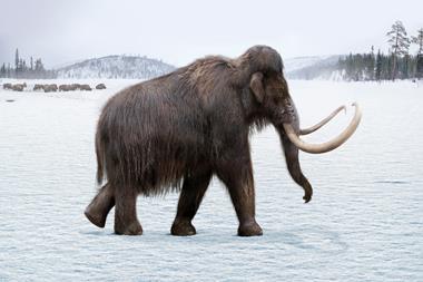 An image of a furry elephant-like creature walking across a snowy landscape