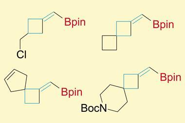 Four chemical structures based on a square of carbons with a Bpin