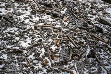 An image showing disarticulated skeletal elements scattered around the Roopkund Lake site