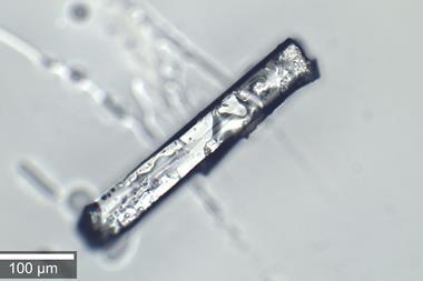 An image showing a translucent needle-like crystal