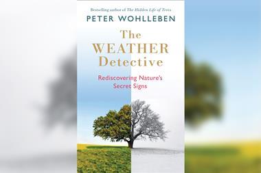 A picture of The Weather Detective Book Cover