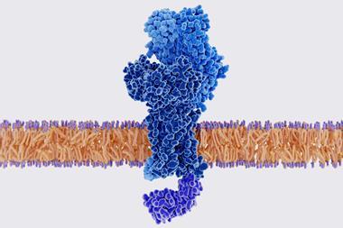 An image showing the receptor as a blue, elongated structure sitting in the middle of a cell membrane shown as a perpendicular cross section