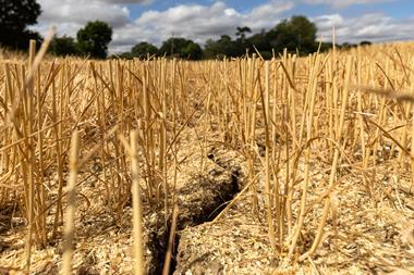Cracked soil