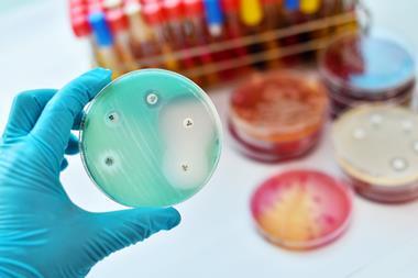 Antimicrobial susceptibility testing in petri dish