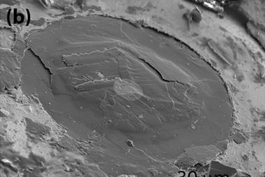 SEM image of the sample after recovery from the cell - Fig1b