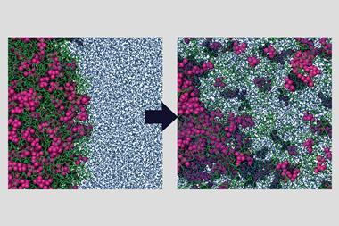 Release from an Amorphous Solid Distribution (ASD)