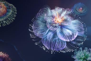 Jellyfish