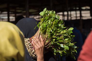 Woman purchasing khat in awaday khat market