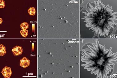 Three pairs of similar images three taken using microscopic techniques and three generated using AI