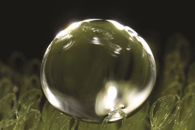 Water droplet on eggbeater-shaped superhydrophobic trichomes - Figure 1b - Full image