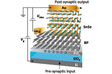 BP−SnSe junction synaptic device