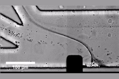 Focusing, sorting and separating microplastics by serial faradaic ion concentration polarisation