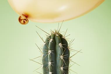 Cactus and balloon