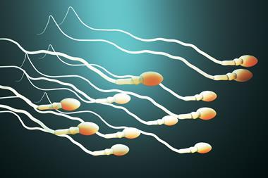 Sperm cells