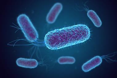 An image showing E coli