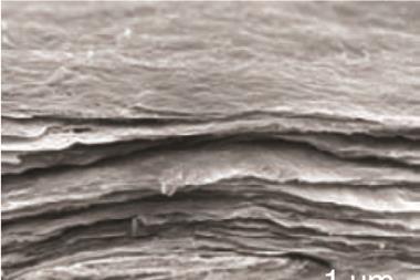 SEM image of composite thin film