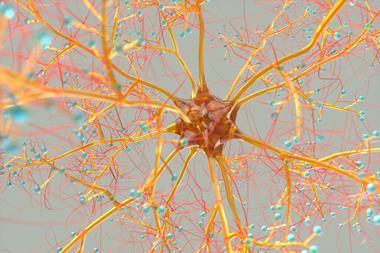 Colourful neuron