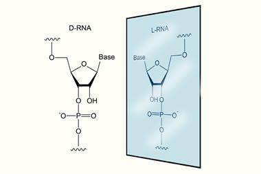 A D-RNA structure reflacted as an L-RNA structure in a mirror