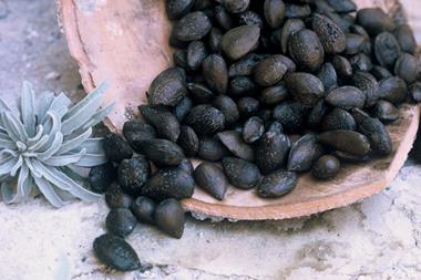 Kyrenia Ship almonds