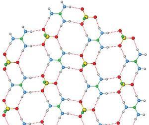 hydrogen bond network