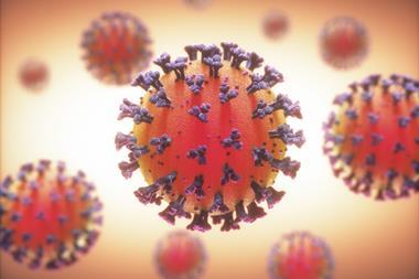 An image showing coronavirus particles