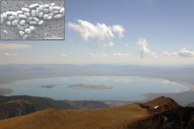 0214CW-Comment_630m