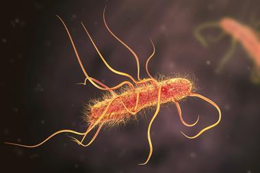 E coli