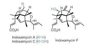 Indoxamycins A, C and F