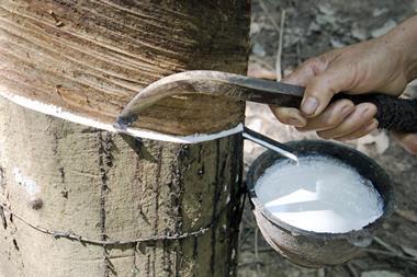 Tapping natural rubber