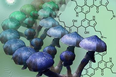 A graphical abstract showing mushrooms and chemical structures