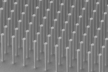 An image showing a SEM image of the Si nanowire array