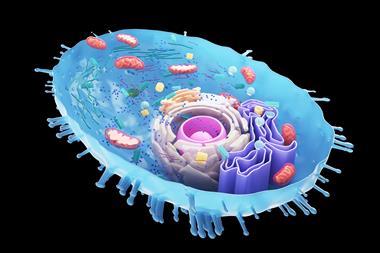 A 3d rendered illustration of a human cell cross-section