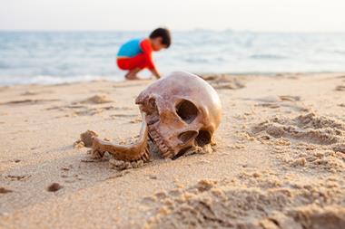 A photograph of a skull on a beach