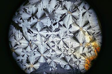Microscope image of paracetamol in crystallized form