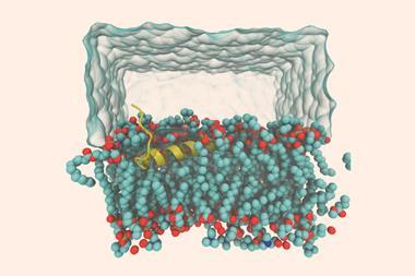 All-atom molecular dynamics simulation of peptide-membrane systems