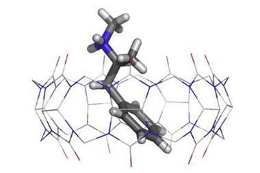 X ray single crystal structure of Cucurbit[7]uril binding an amphetamine