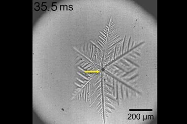 Ice crystallisation initiated by ultrafast laser pulses caught on camera