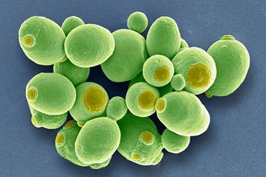 Yeast