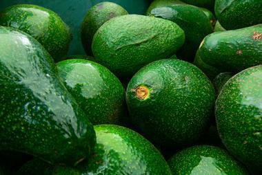 An image showing avocados
