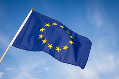 An image showing the EU flag