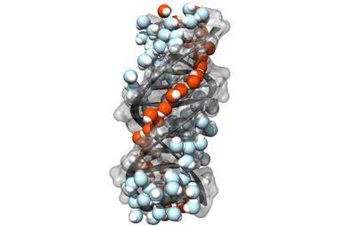water and DNA molecular diagram