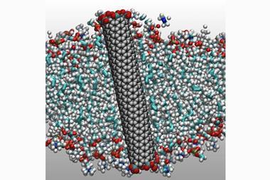 A computer representation of the carbon nanotube porin embedded in a lipid membrane
