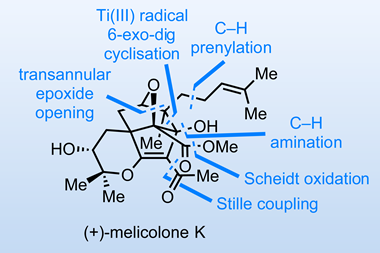 Melicolone K