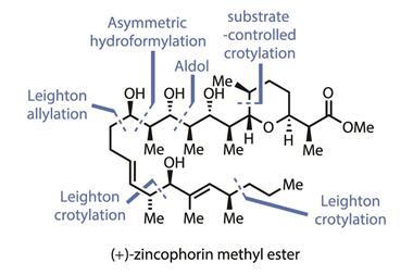 0517CW - Organic Matter (zincophorin) - Fig1