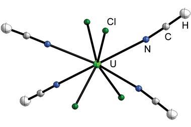 Structure of [UCl4(HCN)4]