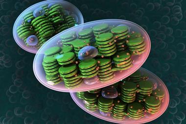 An illustration of a cellular organelle