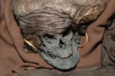A picture showing the head skeleton remain of the Skrydstrup Woman; her hair is styled in an elaborate coiffure and she is wearing large gold hoop earrings